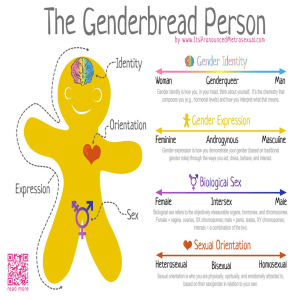 Genderbread Person Infographic